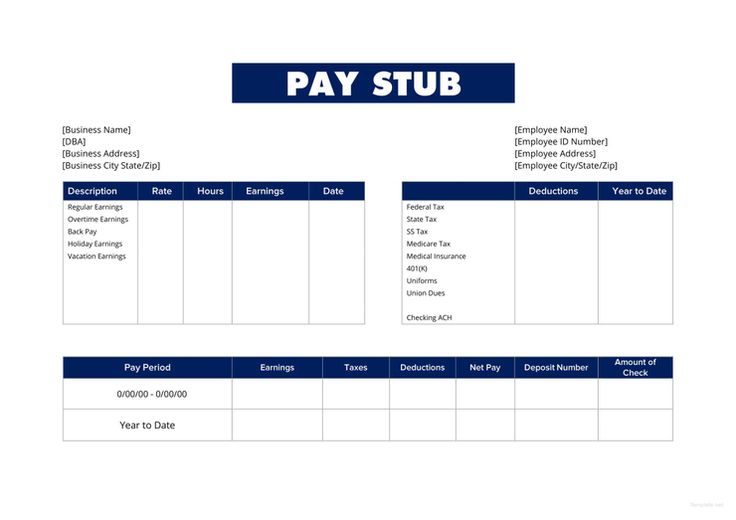 Different Tools for Creating a Paystub 